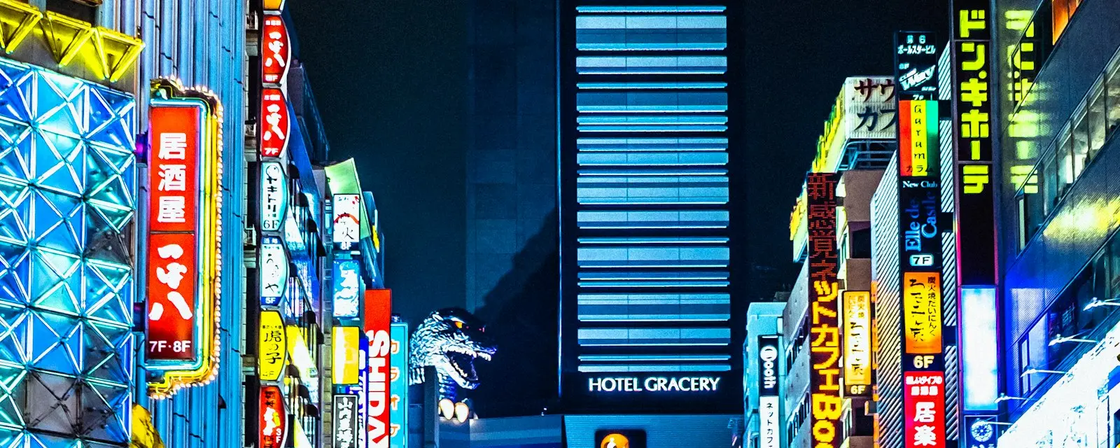 Neon-lit Kabukicho street in Shinjuku, Tokyo at night